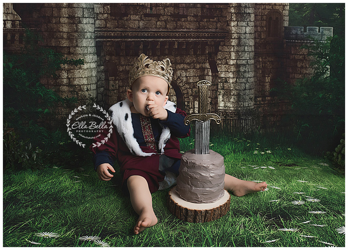 Sword In The Stone San Antonio One Year Cake Smash Photographer